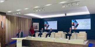 Le CESE présente une liste de minerais clés pour stimuler la souveraineté industrielle du Maroc Le CESE présente une liste de minerais clés pour stimuler la souveraineté industrielle du Maroc