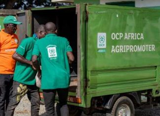 Microsoft et OCP s’associent pour soutenir les agriculteurs africains Microsoft et OCP s'associent pour soutenir les agriculteurs africains
