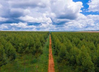 Apple renforce son engagement envers l’élimination du carbone avec l’extension de son Restore Fund Apple renforce son engagement envers l'élimination du carbone avec l'extension de son Restore Fund