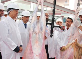 La Province de Berkane investit dans l’amélioration de ses infrastructures d’abattage La Province de Berkane investit dans l'amélioration de ses infrastructures d'abattage