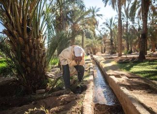 Le Royaume-Uni et le Maroc renforcent leur collaboration agricole face aux défis de l’eau Le Royaume-Uni et le Maroc renforcent leur collaboration agricole face aux défis de l'eau