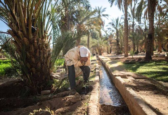 Le Royaume-Uni et le Maroc renforcent leur collaboration agricole face aux défis de l'eau