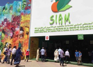 Le Salon International de l’Agriculture du Maroc célèbre sa 15ème édition avec un programme riche et varié Le Salon International de l'Agriculture du Maroc célèbre sa 15ème édition avec un programme riche et varié