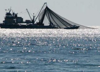 La CNSS lance le Portail DAMAN BAHRI pour faciliter les démarches des armateurs La CNSS lance le Portail DAMAN BAHRI pour faciliter les démarches des armateurs