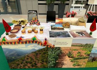 Le Maroc brille à Rome : Deux sites agricoles désignés comme patrimoine mondial Le Maroc brille à Rome : Deux sites agricoles désignés comme patrimoine mondial