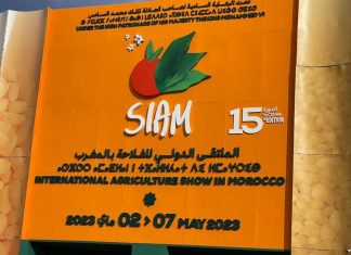 L’espagne au siam 2023 presence record d’entreprises espagnoles L'espagne au siam 2023 presence record d'entreprises espagnoles