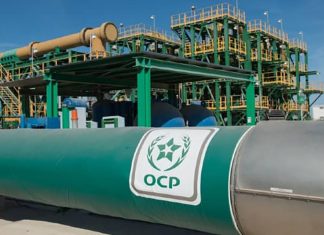 OCP investit 7 milliards de dollars dans une usine d’ammoniac vert OCP investit 7 milliards de dollars dans une usine d'ammoniac vert.