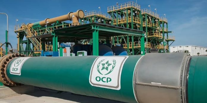OCP investit 7 milliards de dollars dans une usine d'ammoniac vert.