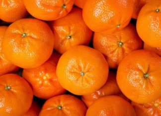 Le Maroc augmente ses exportations de mandarines vers le Canada malgré la baisse générale Le Maroc augmente ses exportations de mandarines vers le Canada malgré la baisse générale