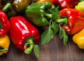 Les Poivrons Sucrés Marocains Gagnent du Terrain en Allemagne Les Poivrons Sucrés Marocains Gagnent du Terrain en Allemagne