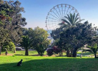 Le Jardin Belvédère à Agadir : Bientôt Complété Le Jardin Belvédère à Agadir : Bientôt Complété