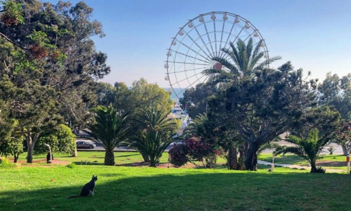 Le Jardin Belvédère à Agadir : Bientôt Complété