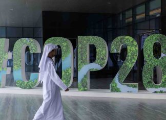 Le Maroc, Phare de l’Afrique, Pave la Voie pour la COP28 selon la CHN émiratie Le Maroc, Phare de l'Afrique, Pave la Voie pour la COP28 selon la CHN émiratie