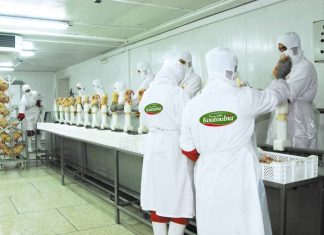 Restructuration en vue pour le groupe Koutoubia : Un nouveau départ programmé dès janvier 2024 Restructuration en vue pour le groupe Koutoubia : Un nouveau départ programmé dès janvier 2024