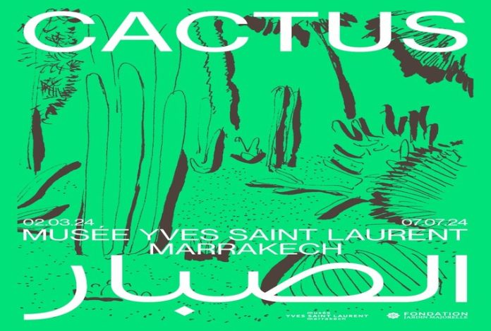 Marrakech : Événement botanique au Musée Yves Saint Laurent de mars à juillet - Plongée dans l'univers des Cactus