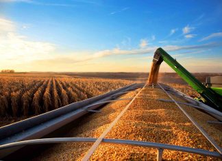 Prospection Agricole à Casablanca : La NASDA en Action Prospection Agricole à Casablanca : La NASDA en Action