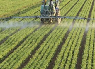 Tétouan : Focus sur l’Agriculture Biologique lors d’une Journée d’Étude Tétouan : Focus sur l'Agriculture Biologique lors d'une Journée d'Étude