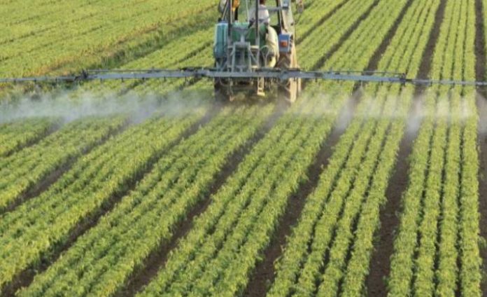 Tétouan : Focus sur l'Agriculture Biologique lors d'une Journée d'Étude