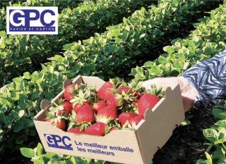 Certification BRCGS/Packaging accordée à tous les sites de production de carton ondulé de GPC – Papier et Carton Certification BRCGS/Packaging accordée à tous les sites de production de carton ondulé de GPC - Papier et Carton