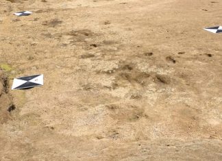 Des empreintes humaines ancestrales révélées au Maroc, datant de plus de 100 000 ans Des empreintes humaines ancestrales révélées au Maroc, datant de plus de 100 000 ans