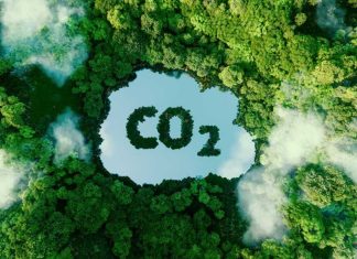 Investissement de Sekkat Group pour la Décarbonation Investissement de Sekkat Group pour la Décarbonation