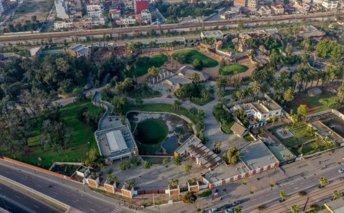 Lancement du processus de sélection d'un gestionnaire délégué pour le zoo d'Aïn Sebaâ à Casablanca