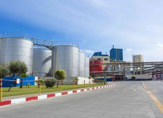 Lesieur Cristal : Stratégie Responsable et Investissements Maintenus malgré les Défis Économiques Lesieur Cristal : Stratégie Responsable et Investissements Maintenus malgré les Défis Économiques