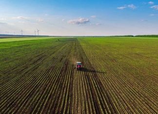 Casablanca-Settat : Préparation d’une Offre d’Accompagnement pour les Entrepreneurs Agricoles Casablanca-Settat : Préparation d'une Offre d'Accompagnement pour les Entrepreneurs Agricoles