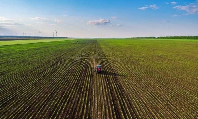 Casablanca-Settat : Préparation d'une Offre d'Accompagnement pour les Entrepreneurs Agricoles