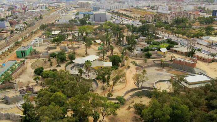 Le Zoo de Casablanca Se Prépare pour l'Arrivée de ses Premiers Animaux