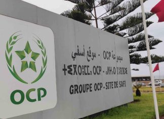 OCP S.A. Publie des Résultats Solides pour le Quatrième Trimestre 2023 Malgré les Défis du Marché OCP S.A. Publie des Résultats Solides pour le Quatrième Trimestre 2023 Malgré les Défis du Marché