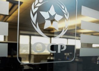 OCP Nutricrops : Cultivant l’avenir de l’agriculture mondiale OCP Nutricrops : Cultivant l'avenir de l'agriculture mondiale