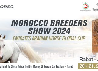 Rabat, hôte inaugural de l’Emirates Arabian Horse Global Cup Morocco 2024 Rabat, hôte inaugural de l’Emirates Arabian Horse Global Cup Morocco 2024