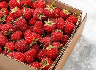 GPC – Papier et Carton Investit dans une 8ème Unité de Production à Meknès GPC - Papier et Carton Investit dans une 8ème Unité de Production à Meknès