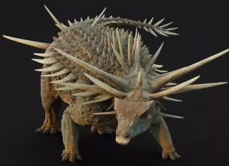 Maroc : le dinosaure hérissé qui défie l’imagination Maroc : le dinosaure hérissé qui défie l’imagination