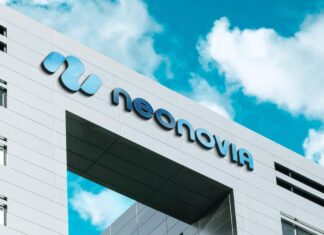 NEONOVIA : la nouvelle ère numérique made in Morocco NEONOVIA : la nouvelle ère numérique made in Morocco