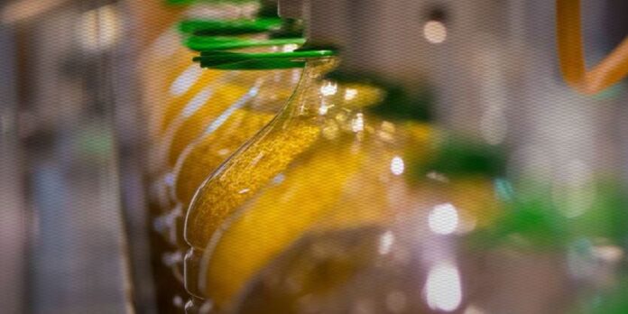 Huile d’olive : sept usines sanctionnées, l’ONSSA resserre la vis