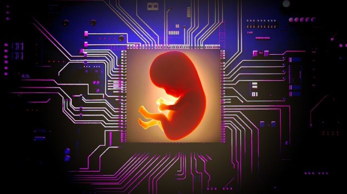 FIV et intelligence artificielle : quand les algorithmes donnent naissance à une nouvelle génération